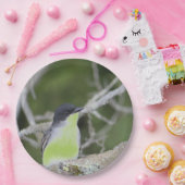 小鳥を緑に包んで ペーパープレート (パーティー)