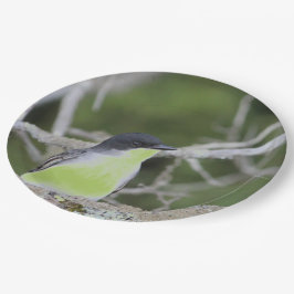 小鳥を緑に包んで ペーパープレート