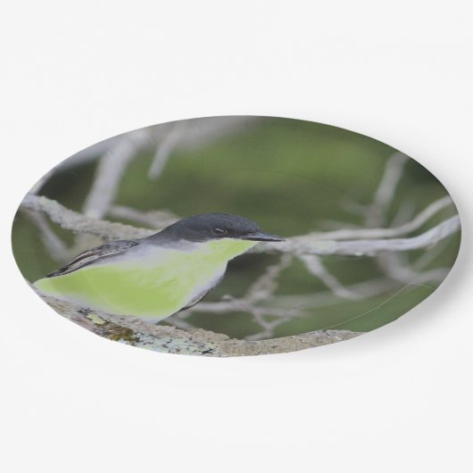小鳥を緑に包んで ペーパープレート (アングル)