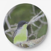 小鳥を緑に包んで ペーパープレート (正面)