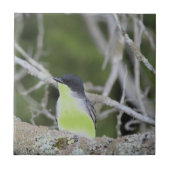 小鳥類陶磁瓦 タイル (正面)