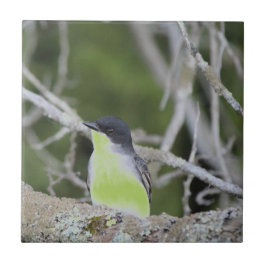 小鳥類陶磁瓦 タイル