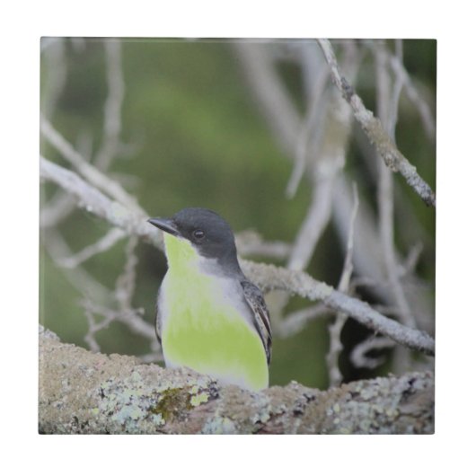 小鳥類陶磁瓦 タイル (正面)