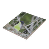 小鳥類陶磁瓦 タイル (側面)