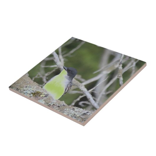 小鳥類陶磁瓦 タイル (側面)