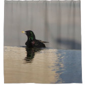 小鳥 シャワーカーテン (正面)