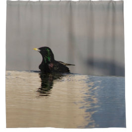小鳥 シャワーカーテン
