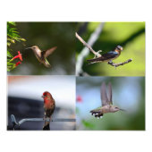 小鳥 フォトプリント            (正面)