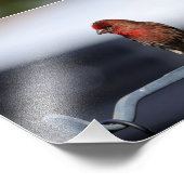 小鳥 フォトプリント            (角)