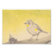 小鳥 フォトプリント            (正面)