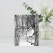 小鳥 ポストカード (スタンド正面)