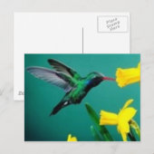 小鳥 ポストカード (正面/裏面)