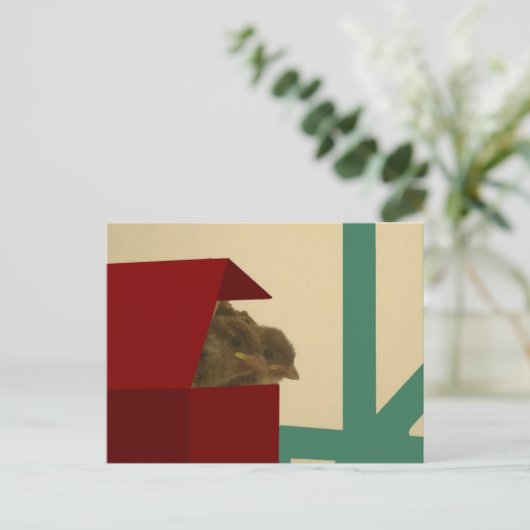 小鳥 ポストカード (スタンド正面)