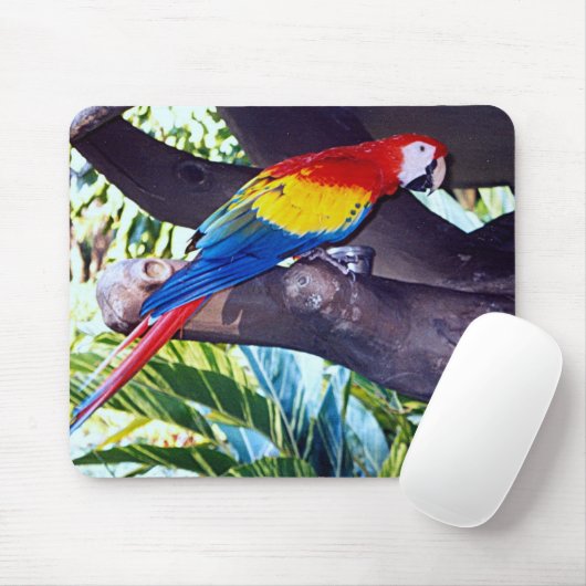 小鳥 マウスパッド (マウス)