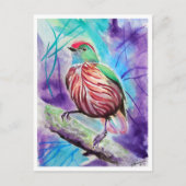 小鳥#12 ポストカード (正面)