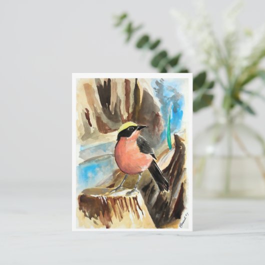 小鳥#7 ポストカード (スタンド正面)