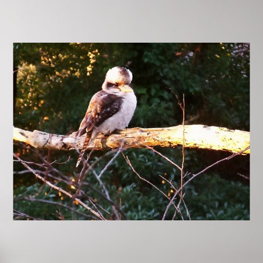 小鹿原座…ポスター ポスター (正面)