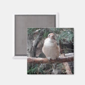 小鹿原磁石 マグネット (正面/裏面)