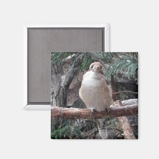 小鹿原磁石 マグネット (正面/裏面)