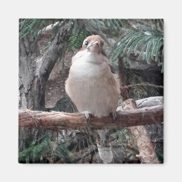 小鹿原磁石 マグネット