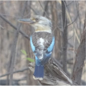 小鹿原鳥 シール (正面)