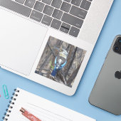 小鹿原鳥 シール (ノートパソコンとiPhone)