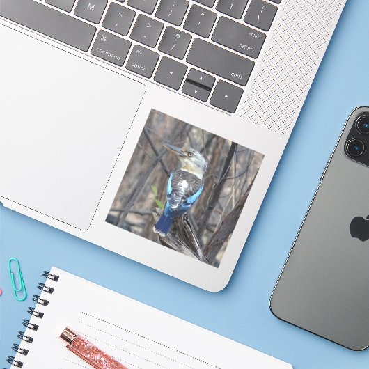 小鹿原鳥 シール (ノートパソコンとiPhone)