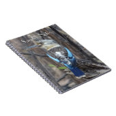 小鹿原鳥 ノートブック (右側)