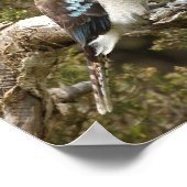 小鹿原 ポスター (角)