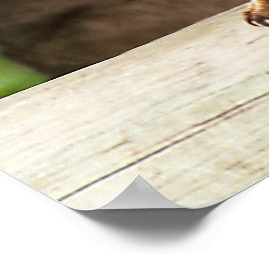 小鹿原 ポスター (角)