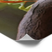 小鹿原 ポスター (角)