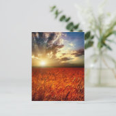 小麦と日没の分野 ポストカード (スタンド正面)
