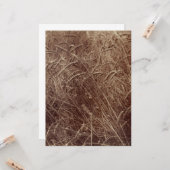 小麦のフィールド(by Eugene Atget) カード (正面/裏面インサイチュ)