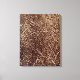 小麦のフィールド(by Eugene Atget) キャンバスプリント