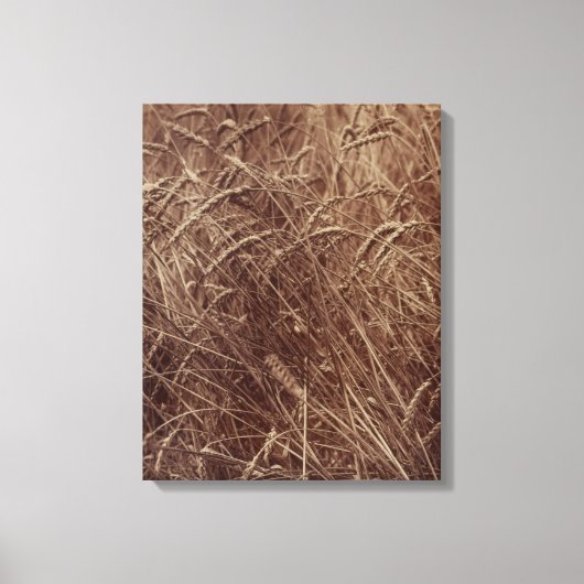 小麦のフィールド(by Eugene Atget) キャンバスプリント (正面)