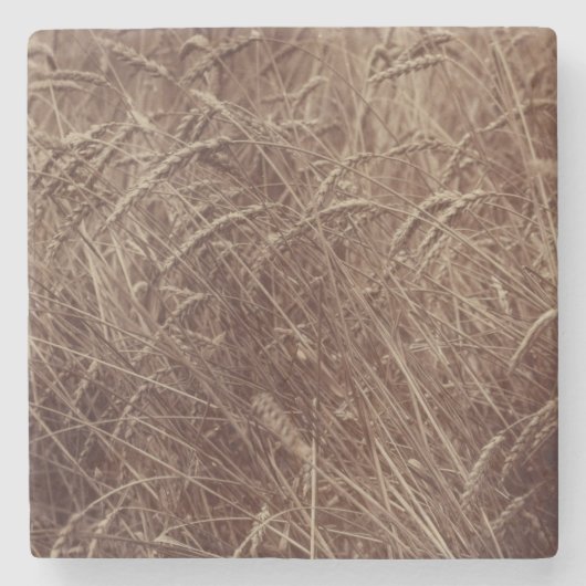 小麦のフィールド(by Eugene Atget) ストーンコースター (正面)