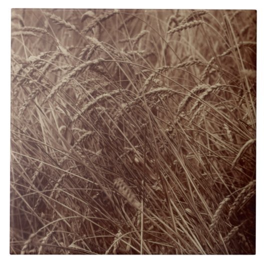 小麦のフィールド(by Eugene Atget) タイル (正面)