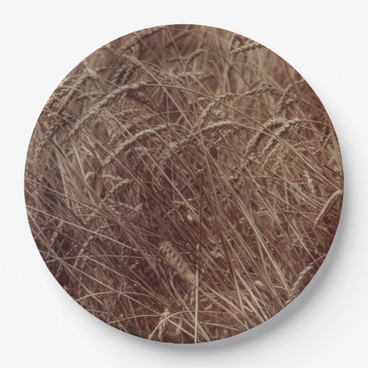 小麦のフィールド(by Eugene Atget) ペーパープレート (正面)