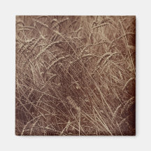 小麦のフィールド(by Eugene Atget)