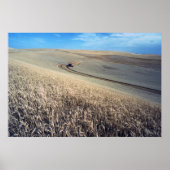 小麦の収穫 ポスター (正面)