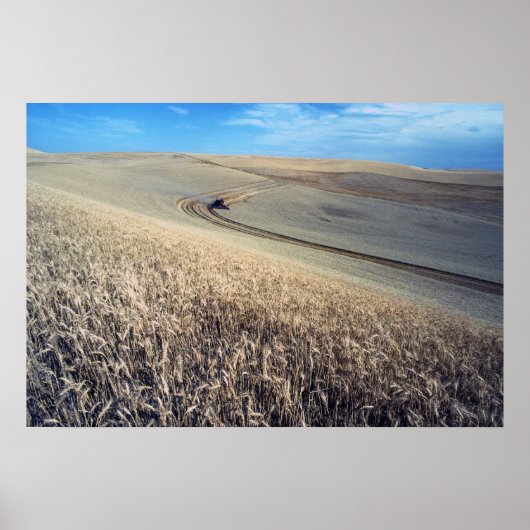 小麦の収穫 ポスター (正面)