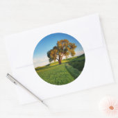 小麦の山々に囲転がまれた孤高の木 ラウンドシール (封筒)