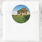 小麦の山々に囲転がまれた孤高の木 ラウンドシール (バッグ)