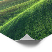 小麦の春は、パルーズの丘の上に ポスター (角)