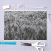 小麦の白黒フィールド 薄葉紙 (クラフト)