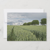 小麦フィールドオークツリーカントリーウェディング招待状 招待状 (裏面)