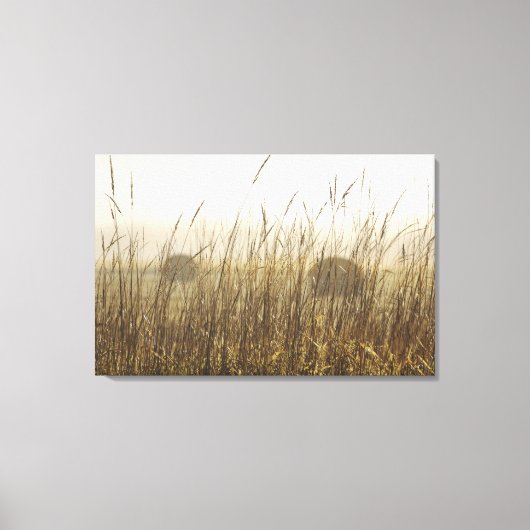 小麦写真のクローズアップ キャンバスプリント (正面)