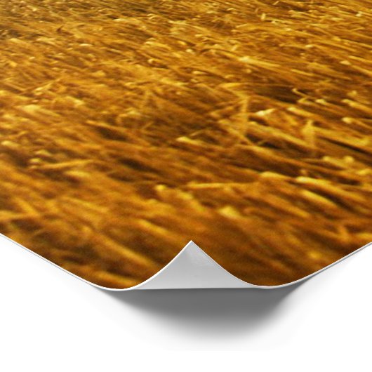 小麦威厳のあるフィールドビューポスター ポスター (角)