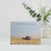 小麦州葉書 ポストカード (スタンド正面)