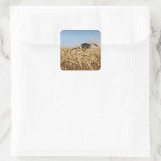 小麦畑で結合 スクエアシール (バッグ)